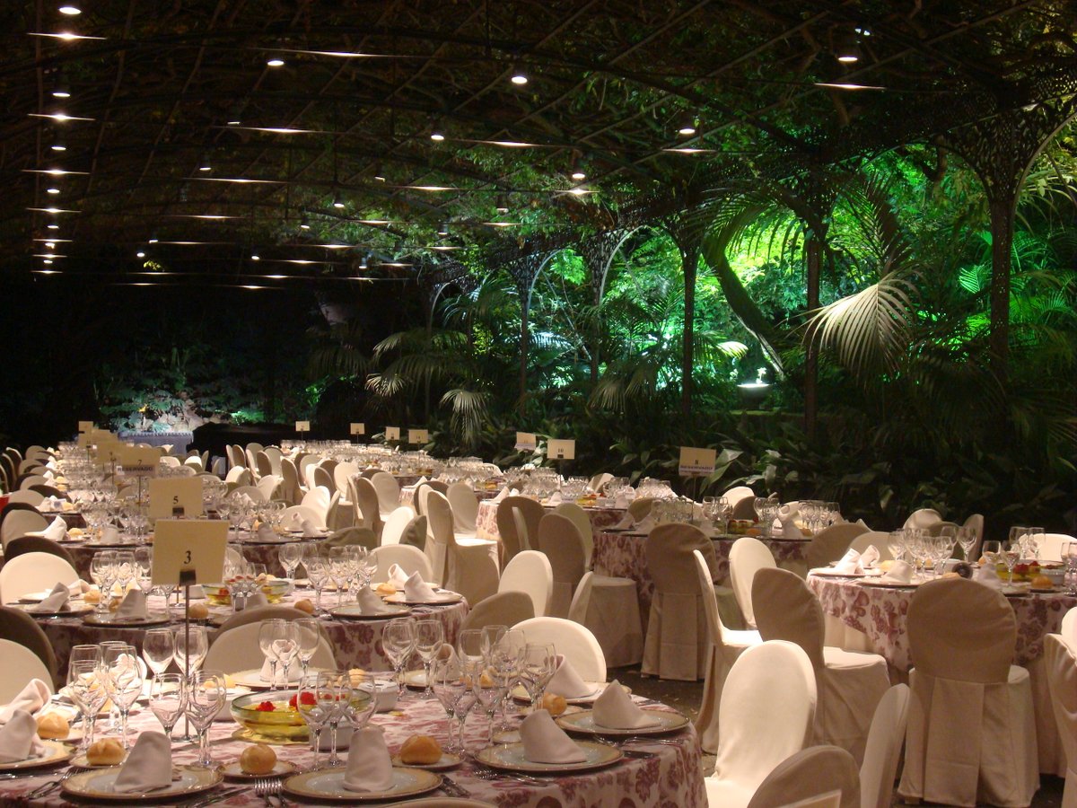Bodas