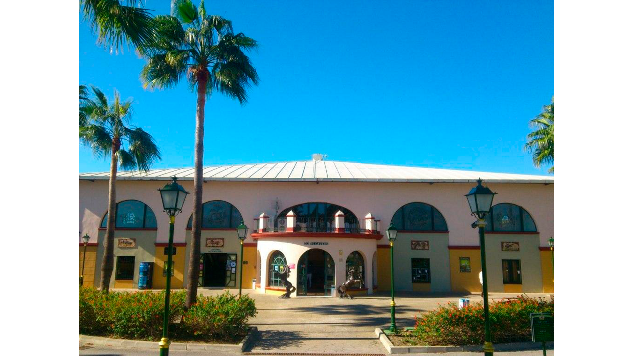 ESCUELA ECUESTRE DE ESTEPONA