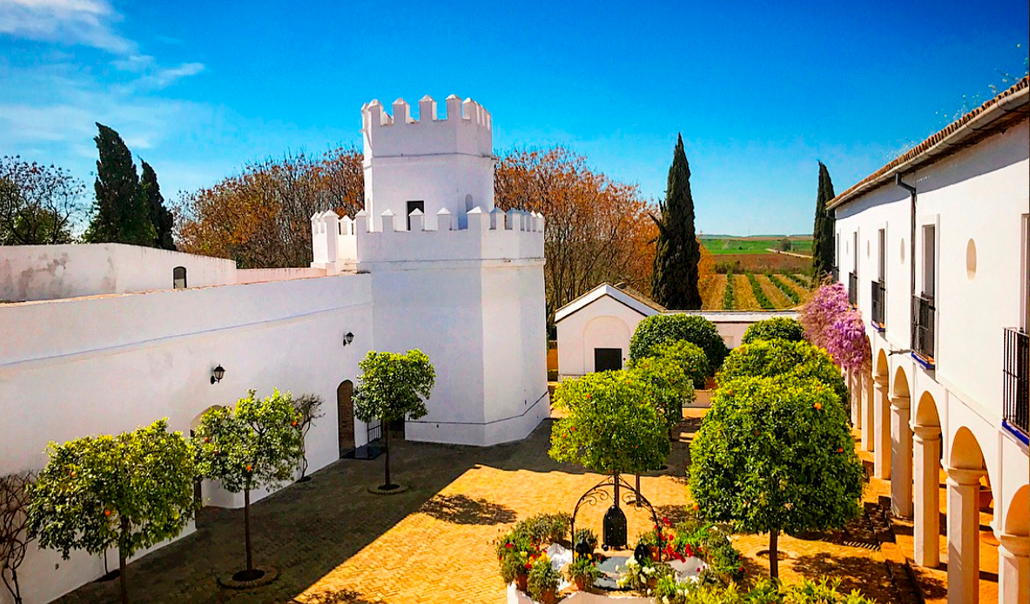 CORTIJO TORRE DE LA REINA