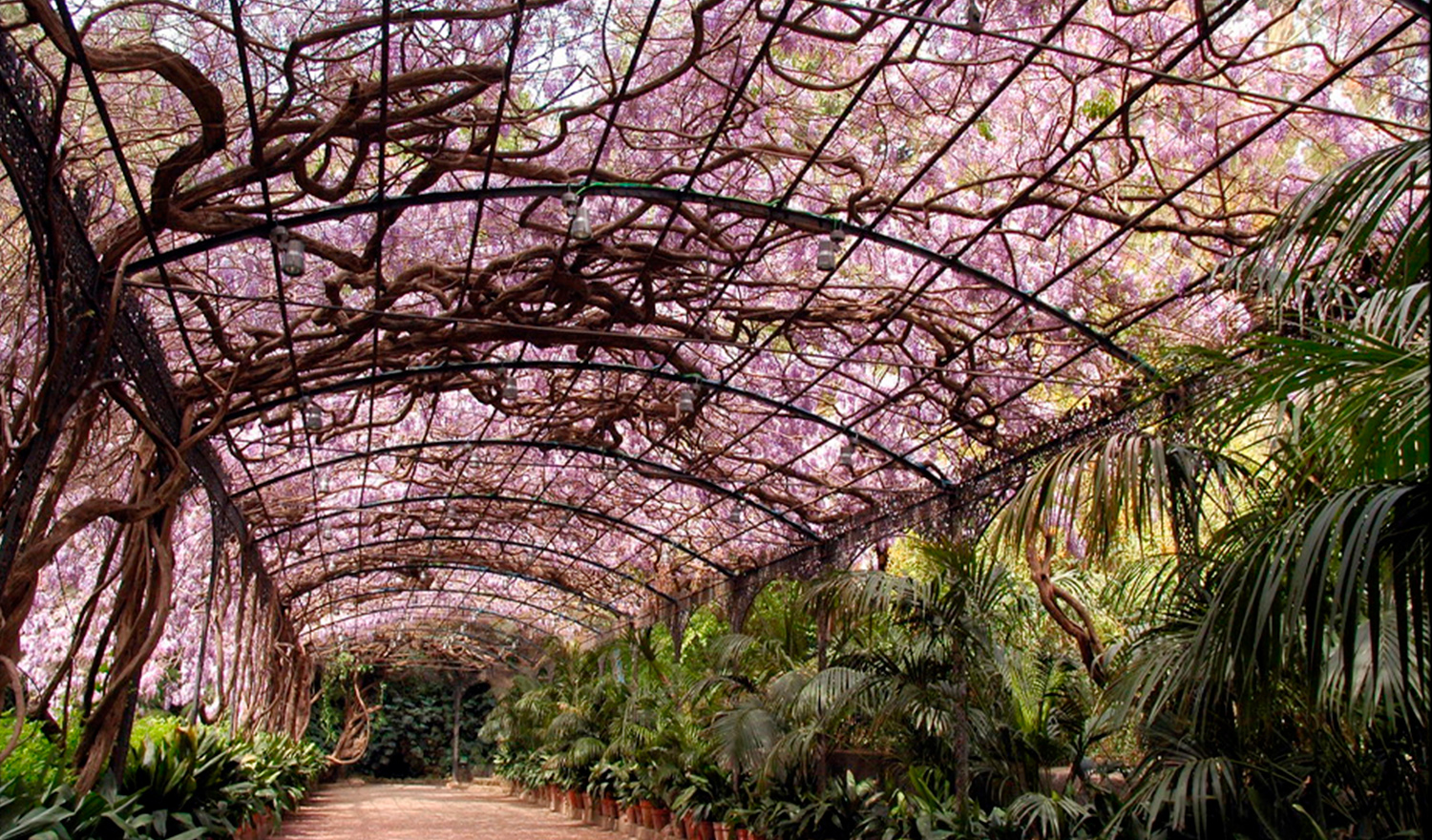 Jardines Botánicos de la Concepción